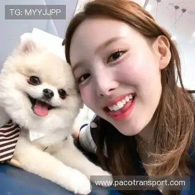 苗锦珺